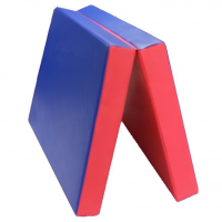 Мат без аппликации складной 2-х секционный (100х50х10 см)